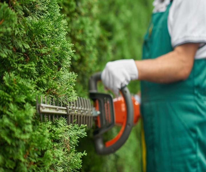 Quels sont les outils de jardinage adaptés pour la taille des arbres et arbustes ?, Saint-Alexandre