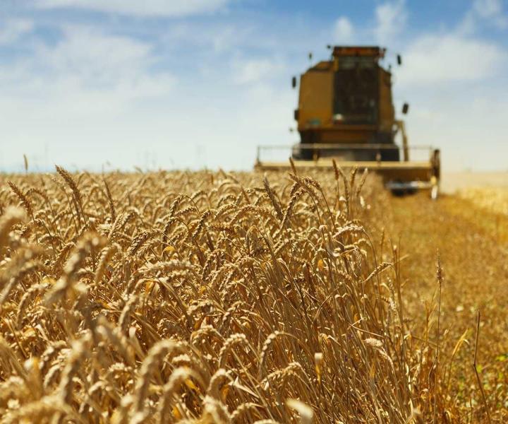 Quelles sont les marques les plus populaires pour les pièces de rechange de rotoculteurs ?, Saint-Alexandre
